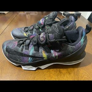 Lebron 13 Lowbirds of Paradise size 9.5